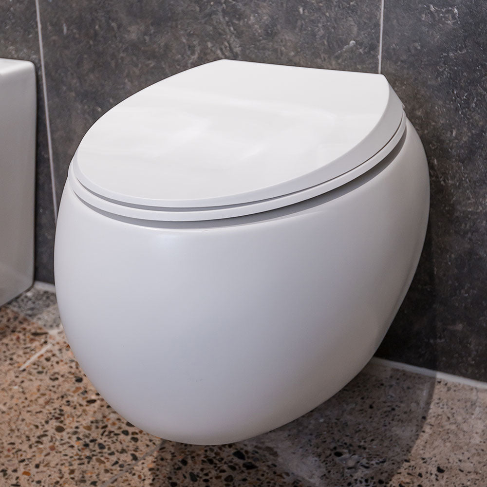 Fienza RAK Cloud Wall-Hung Toilet Suite, Matte White