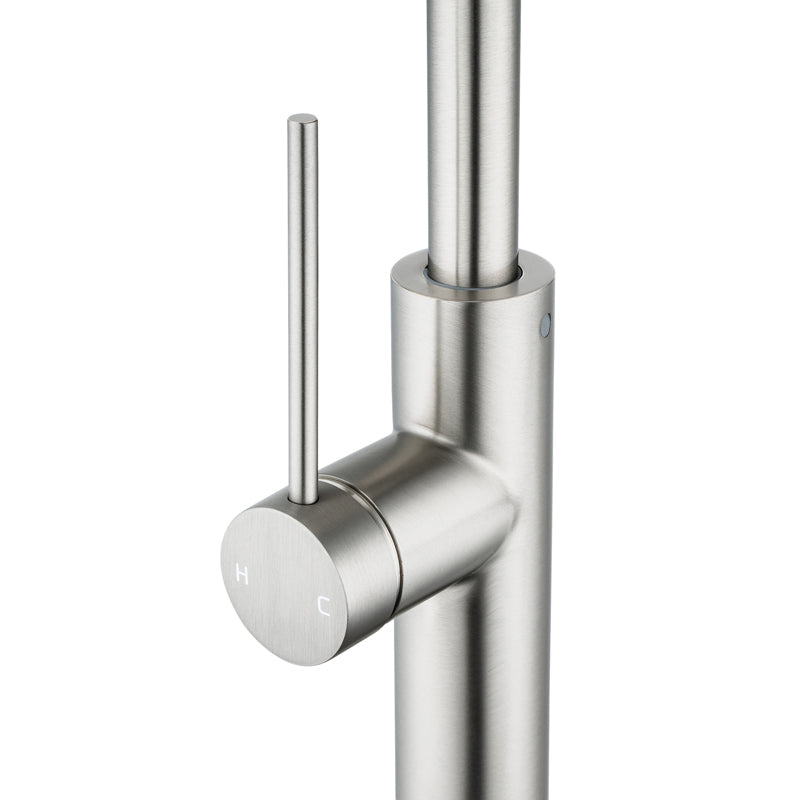 Aquaperla Standard Kitchen Mixer