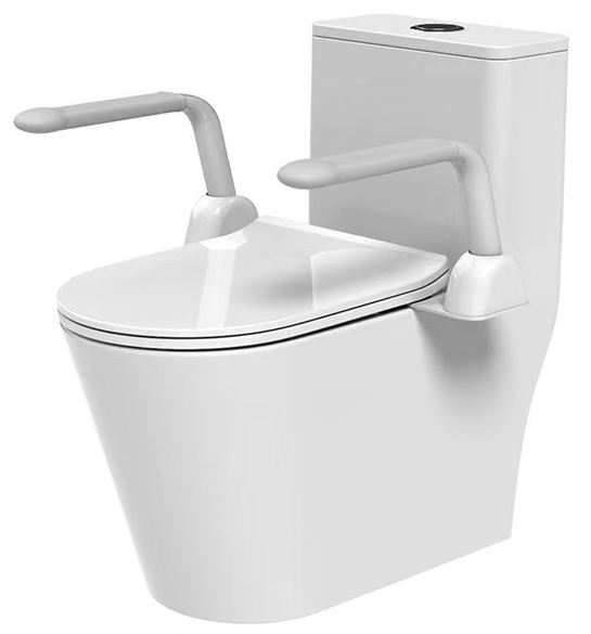 Bella Vista Mica Care Toilet Armrest