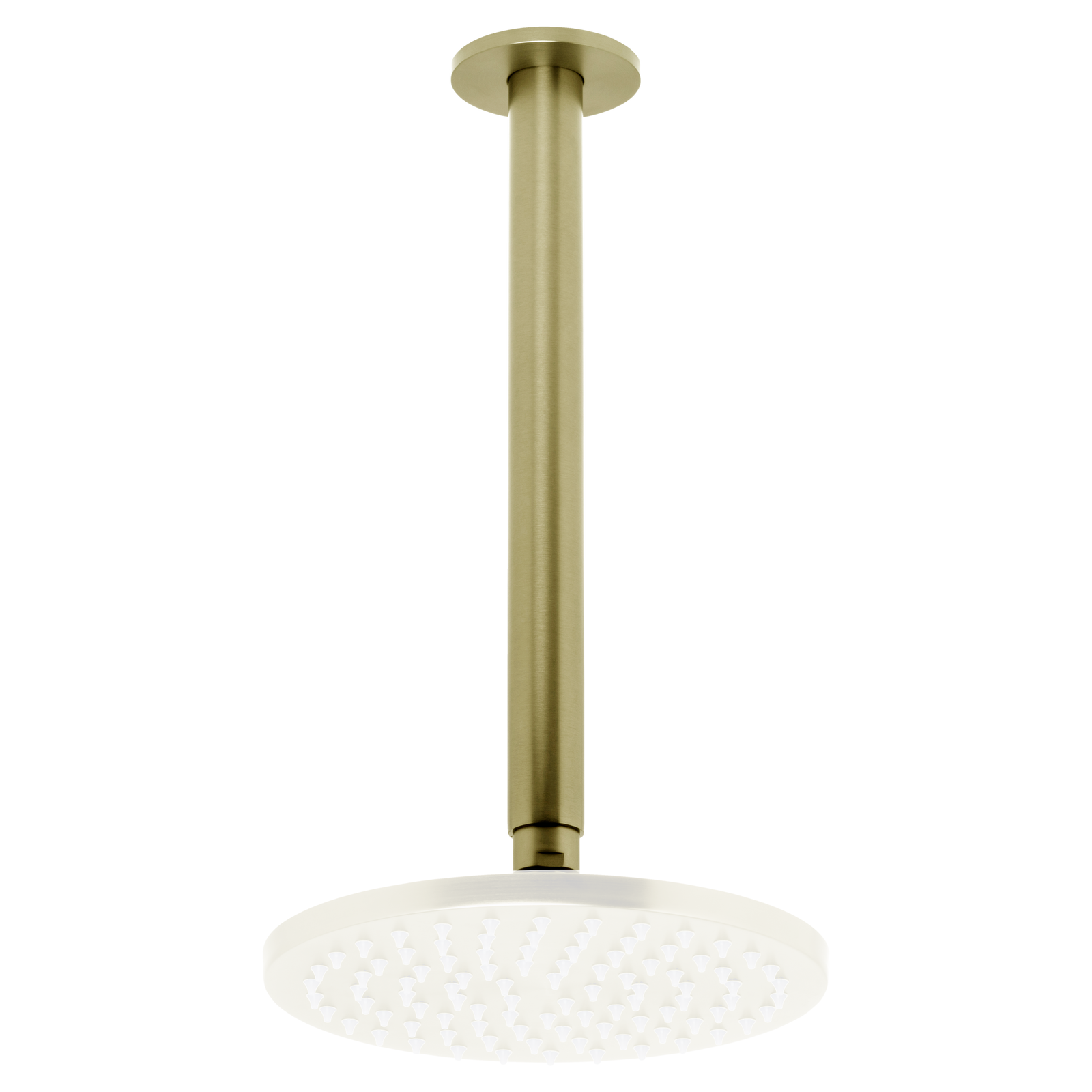 Johnson Suisse Venezia Ceiling Shower Arm 300mm - Brushed Brass