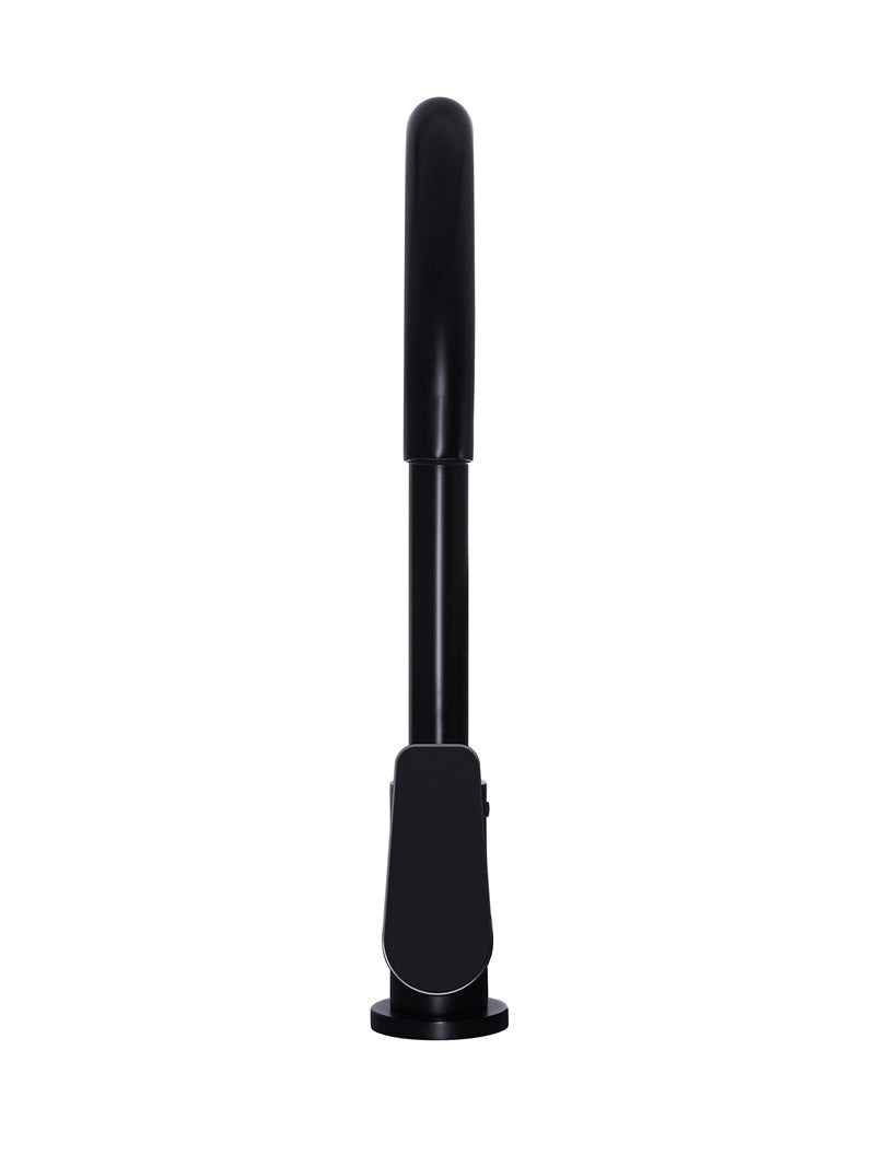 Meir Round Paddle Gooseneck Kitchen Mixer Tap