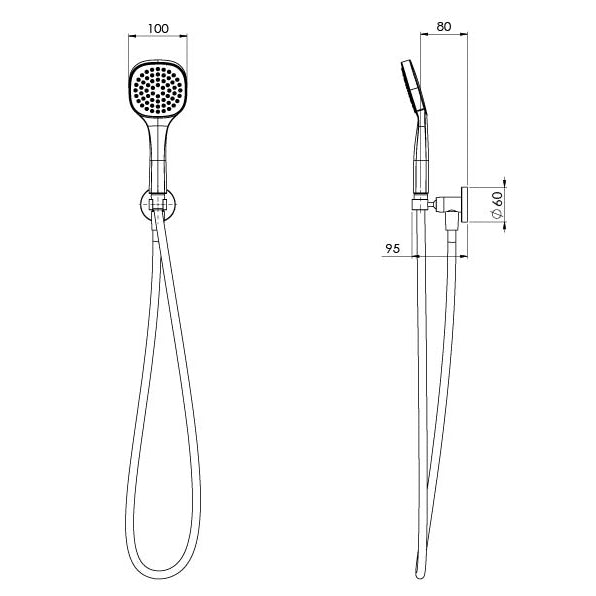 Phoenix Teva Hand Shower