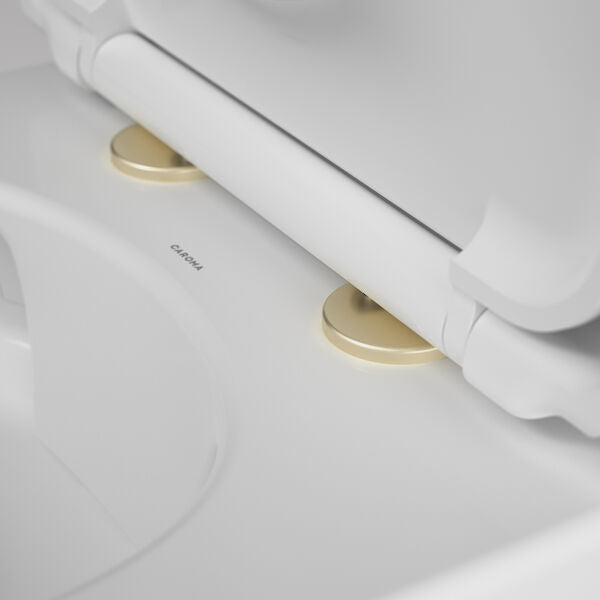 Caroma Toilet Seat Hinge Caps (Urbane / Contura / Rivere)