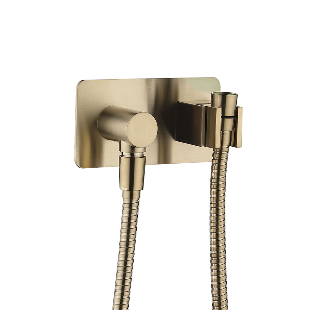 Fienza Universal Hand Shower Bracket & Hose, Rectangular Plate - Urban Brass
