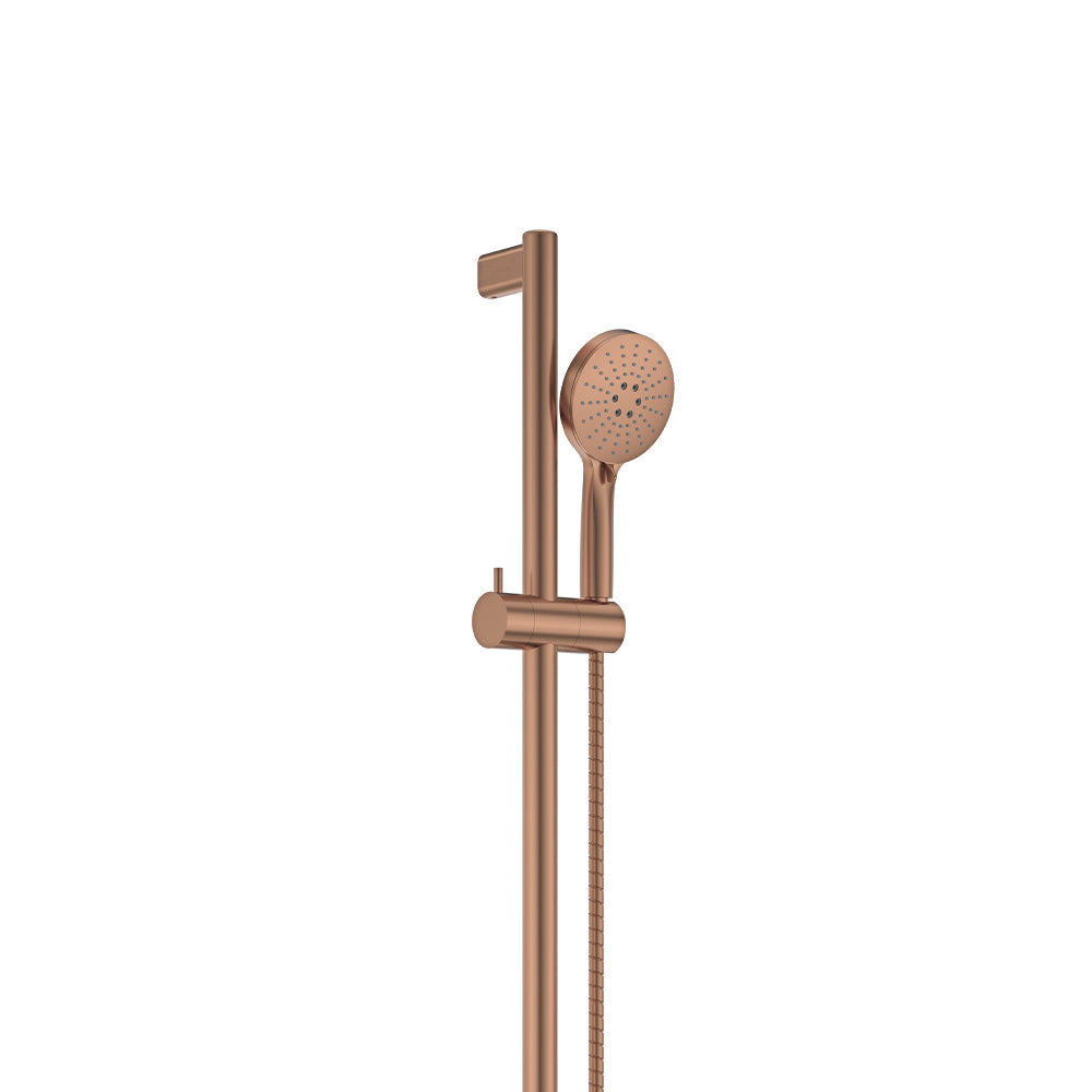 Care Rail Shower