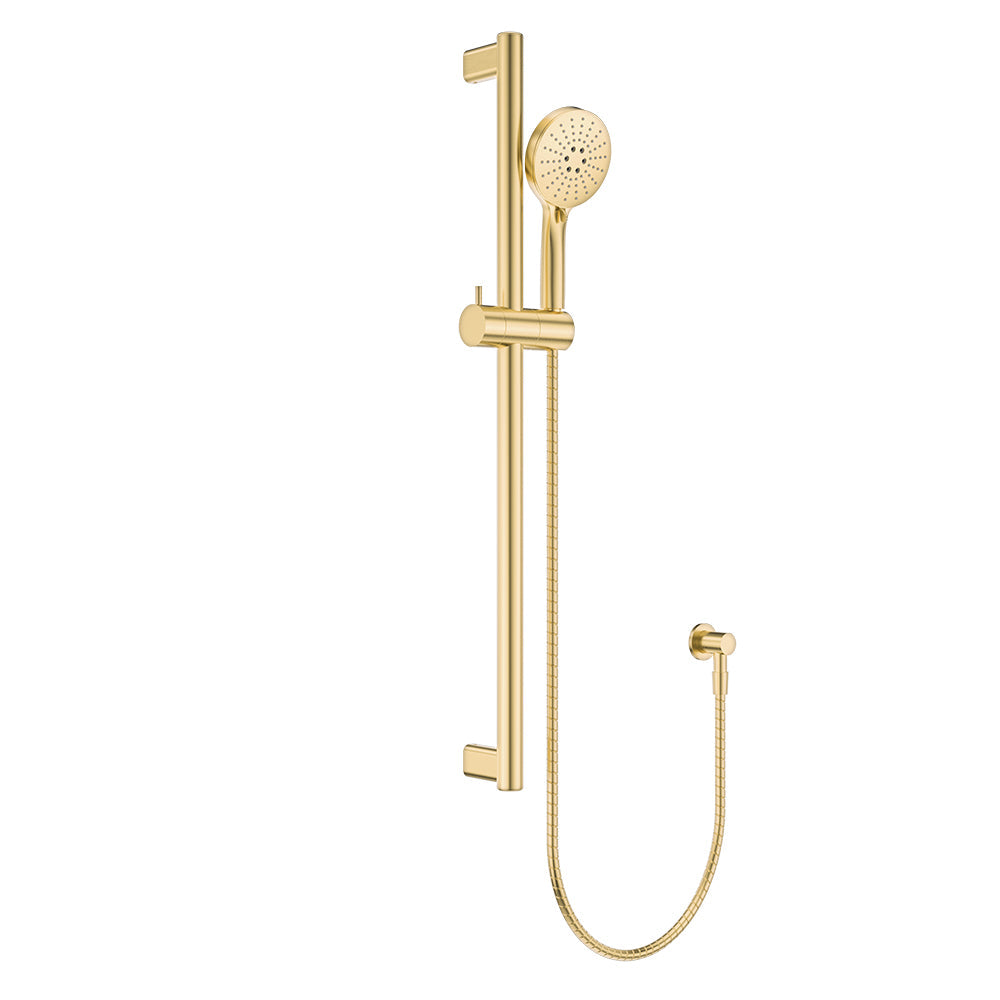 Care Rail Shower