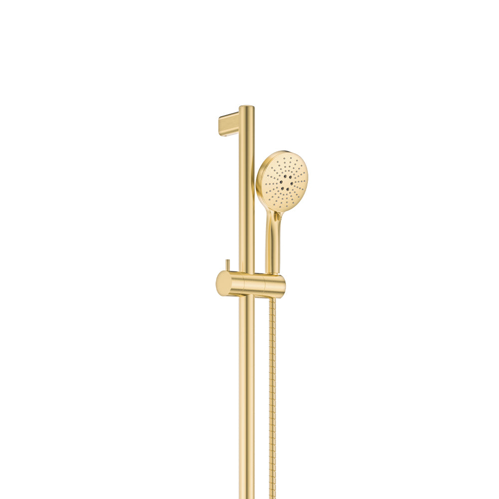 Care Rail Shower