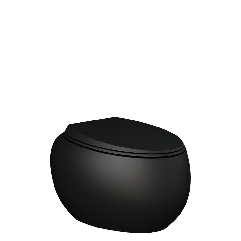 Fienza RAK Cloud Wall-Hung Toilet Suite, Matte Black