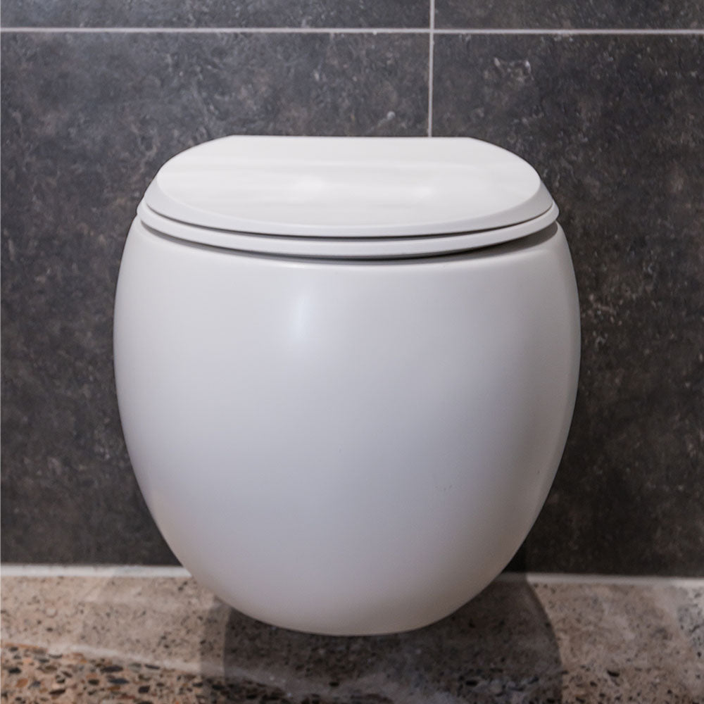 Fienza RAK Cloud Wall-Hung Toilet Suite, Matte White