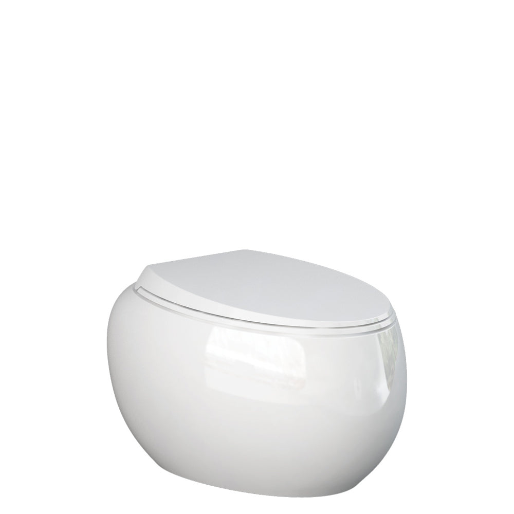 Fienza RAK Cloud Wall-Hung Toilet Suite, Alpine Gloss White