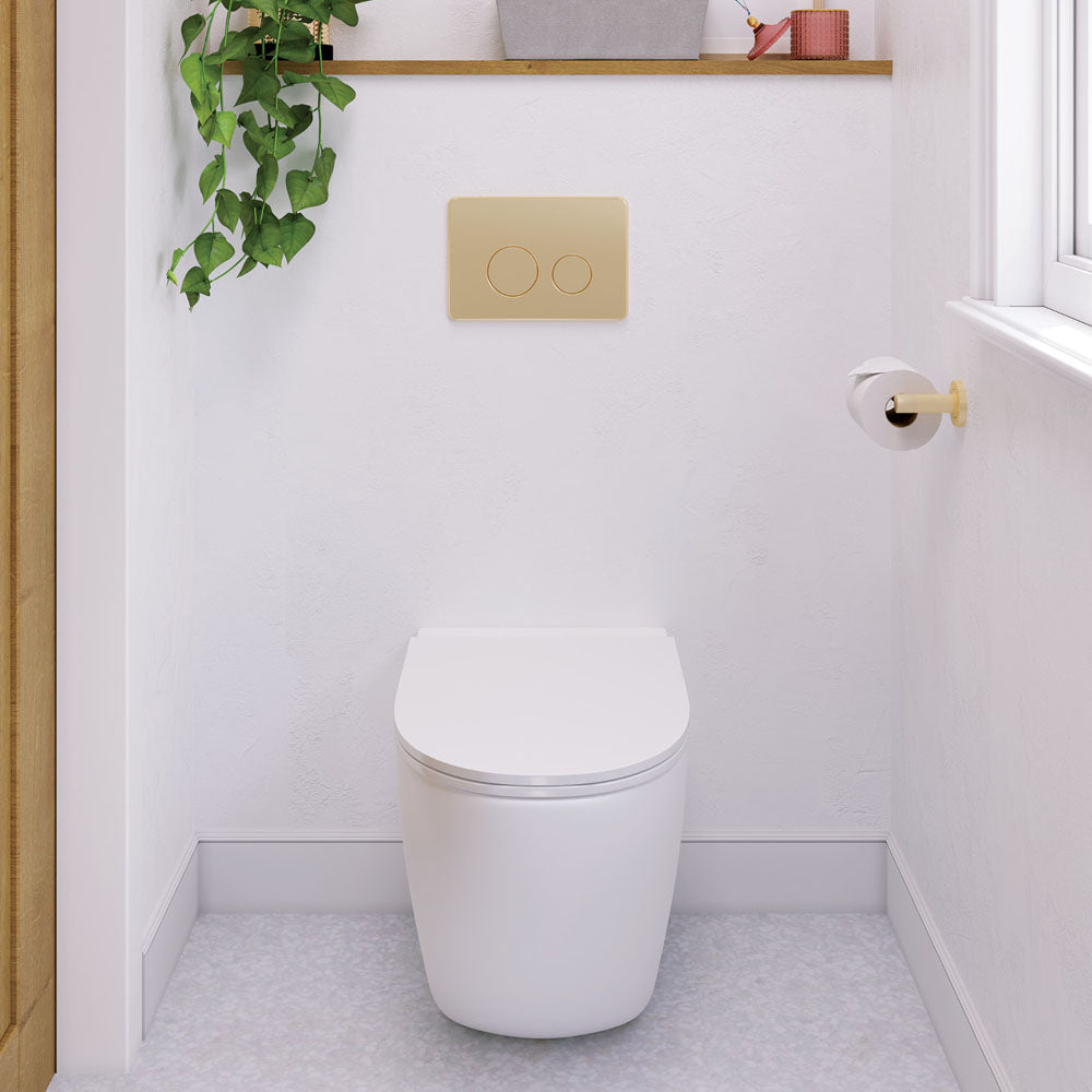 Fienza Kaya Toilet Roll Holder - Urban Brass