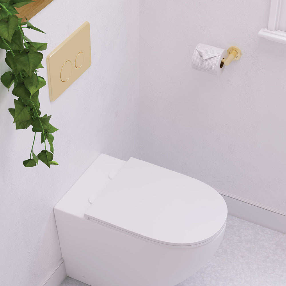 Fienza Kaya Toilet Roll Holder - Urban Brass