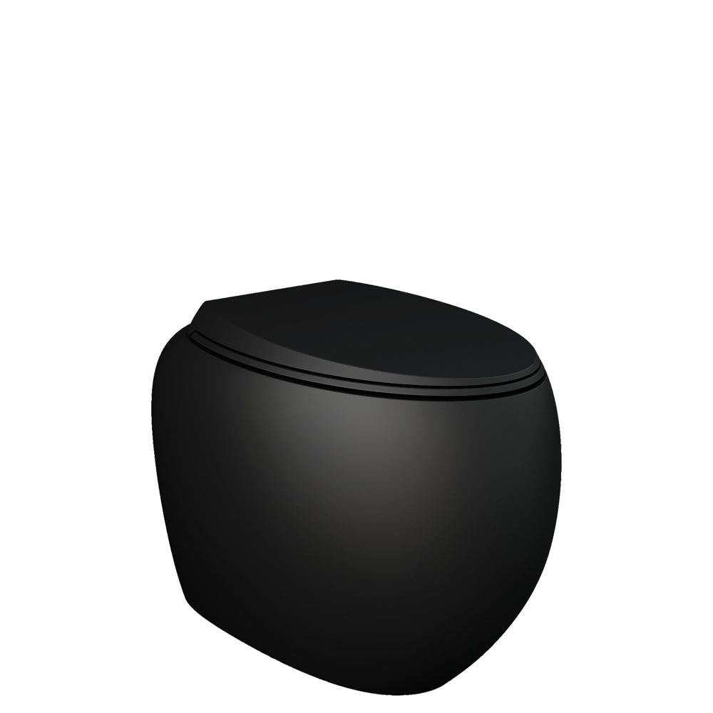 Fienza RAK Cloud Wall-Faced Toilet Suite, Matte Black