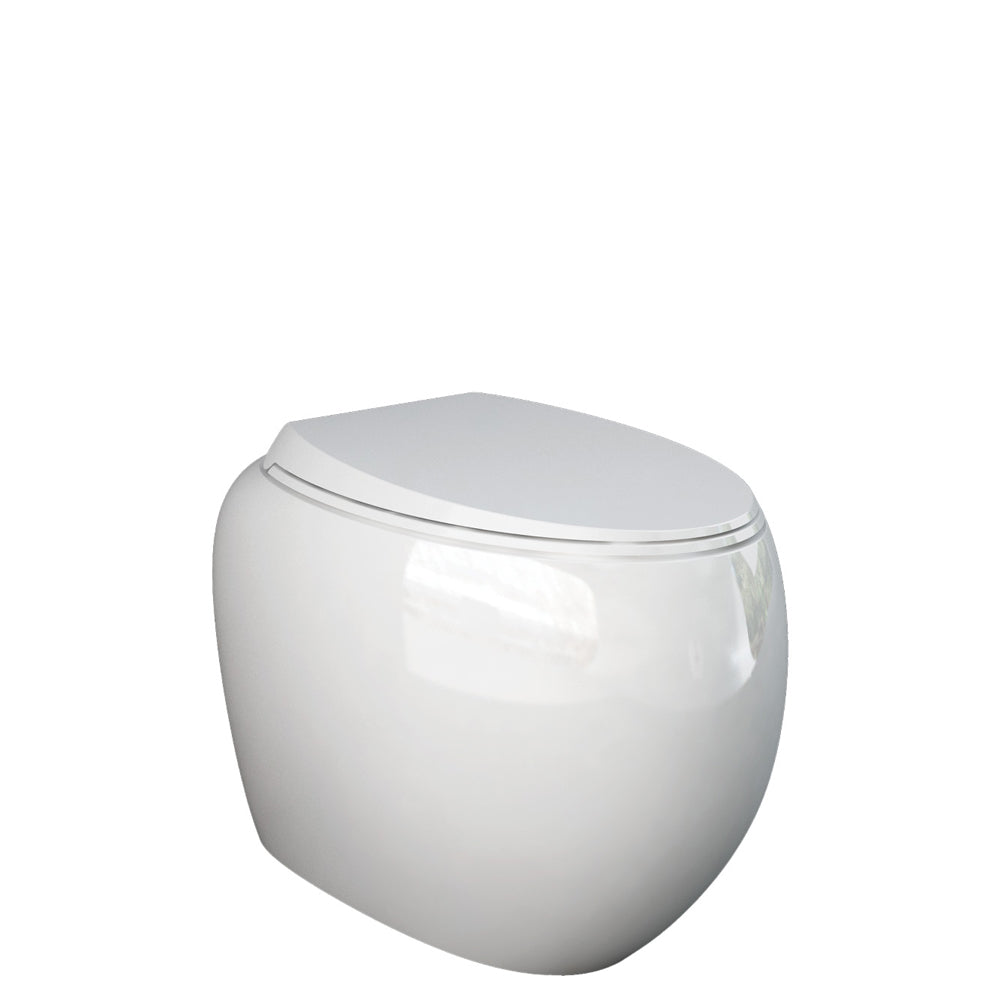 Fienza RAK Cloud Wall-Faced Toilet Suite, Alpine Gloss White