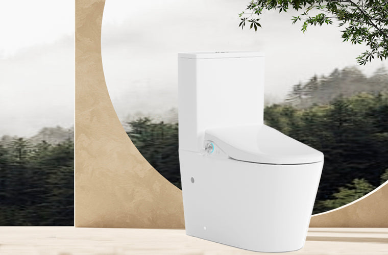 Lafeme Catania Standard Luna Bidet Toilet Suite