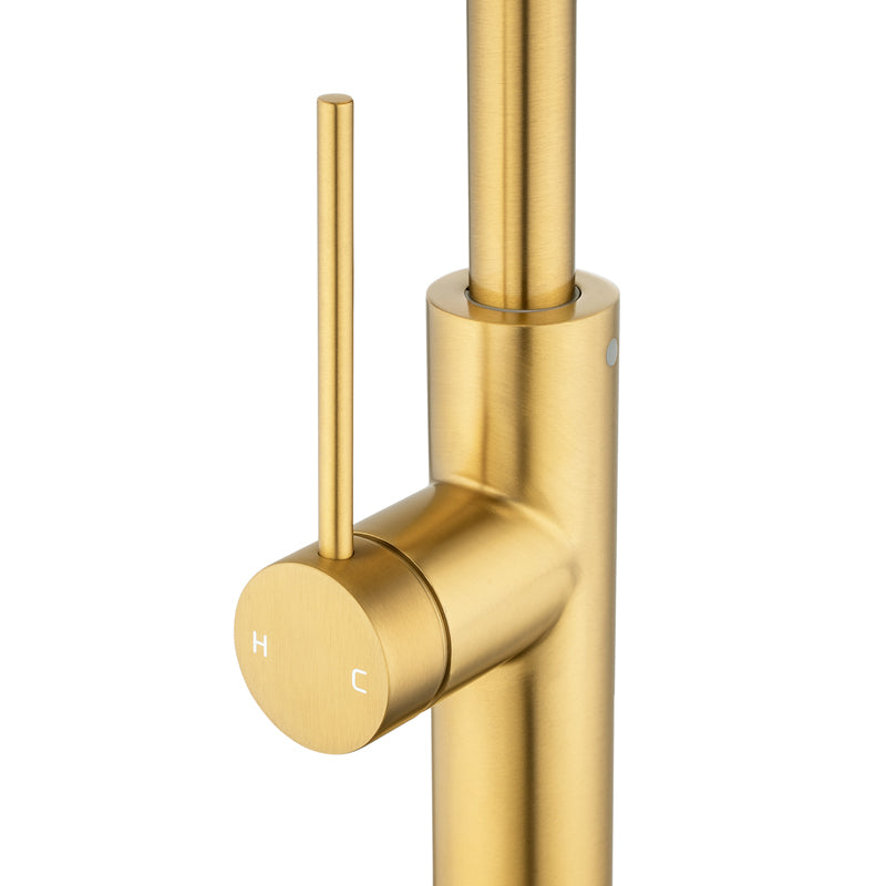 Aquaperla Standard Kitchen Mixer