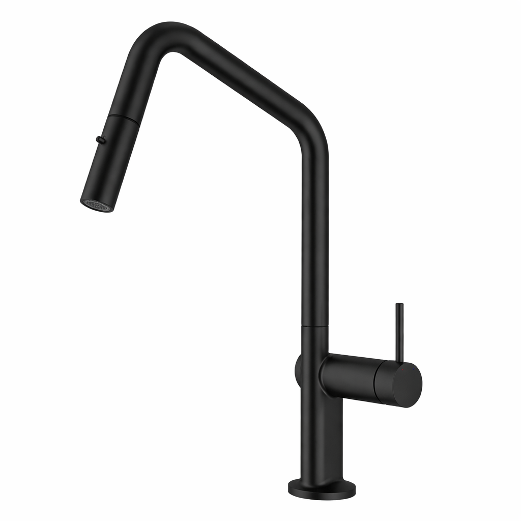 Navona Carysil Angle Pull Out Kitchen Mixer