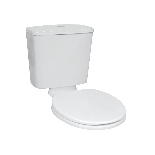 Johnson Suisse Plaza Plus Wall Cistern