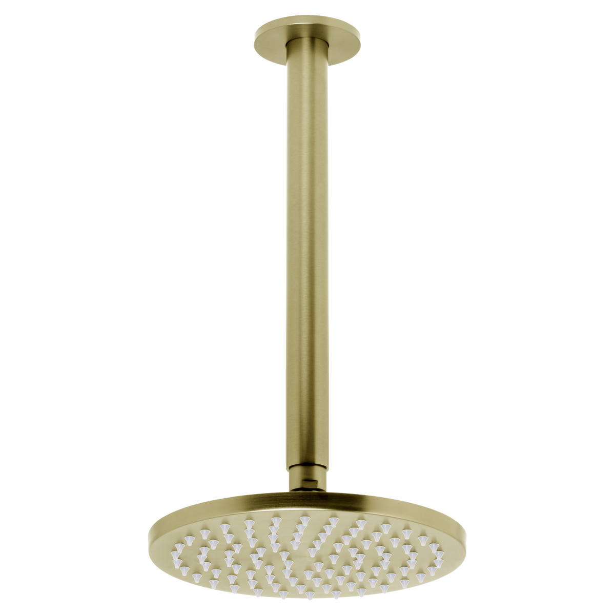 Johnson Suisse Venezia Overhead Rain Shower with 300mm Ceiling Arm - Brushed Brass