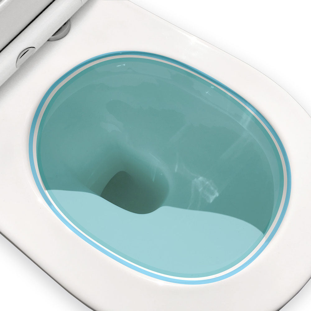 Fienza Empire Back-to-Wall Toilet Suite, Gloss White