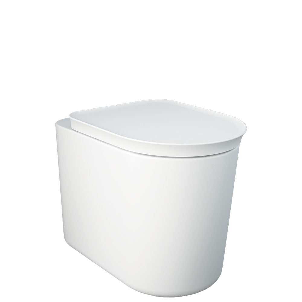 Fienza RAK Valet Wall-Faced Toilet, Matte White