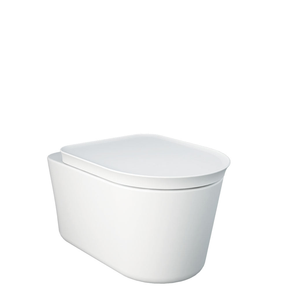 Fienza RAK Valet Wall-Hung Toilet, Matte White