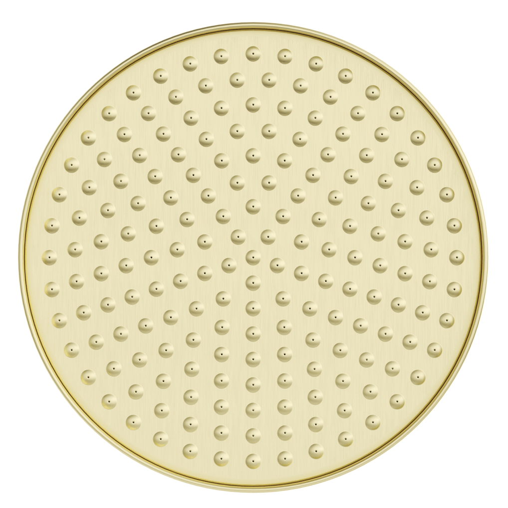 Bella Vista Mica Heritage Shower Head