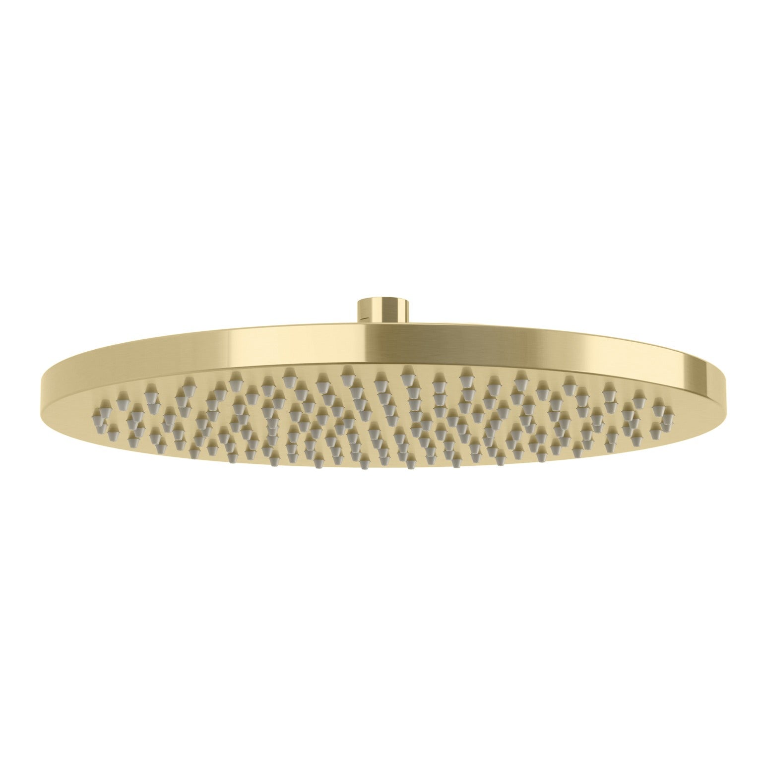 Phoenix Vivid Shower Rose 300mm Round