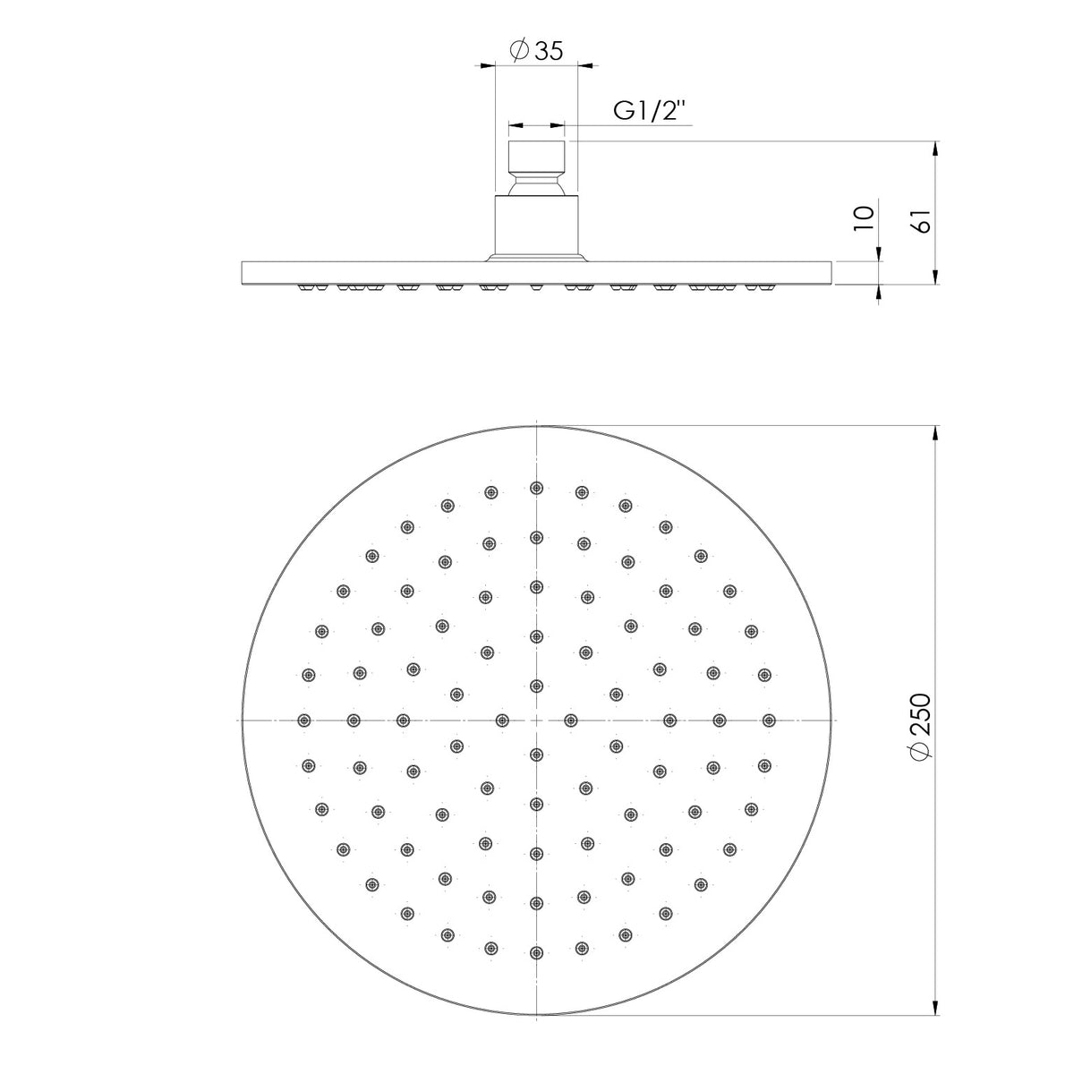 Phoenix Vivid Shower Rose 250mm Round