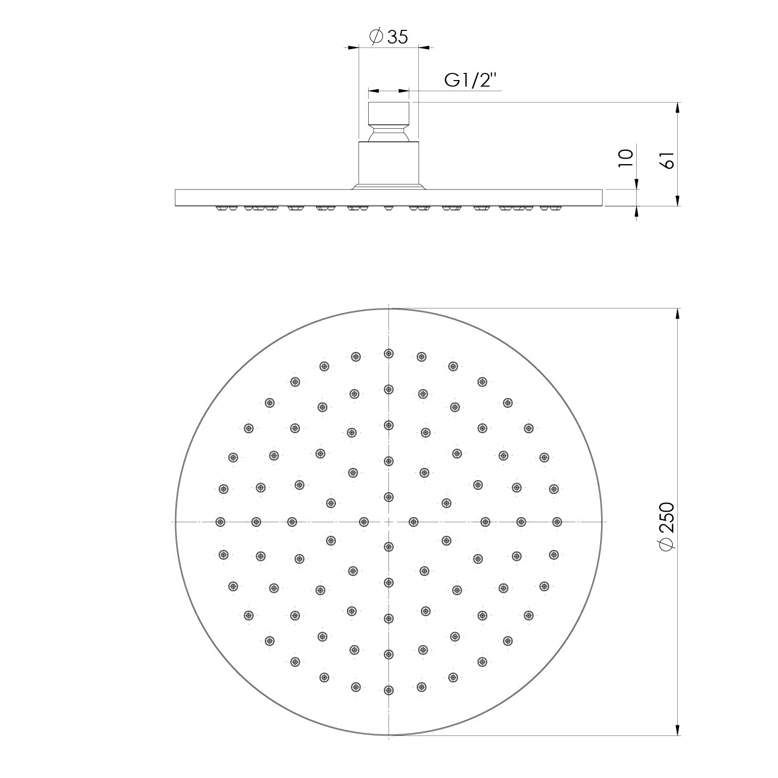Phoenix Vivid Shower Rose 250mm Round