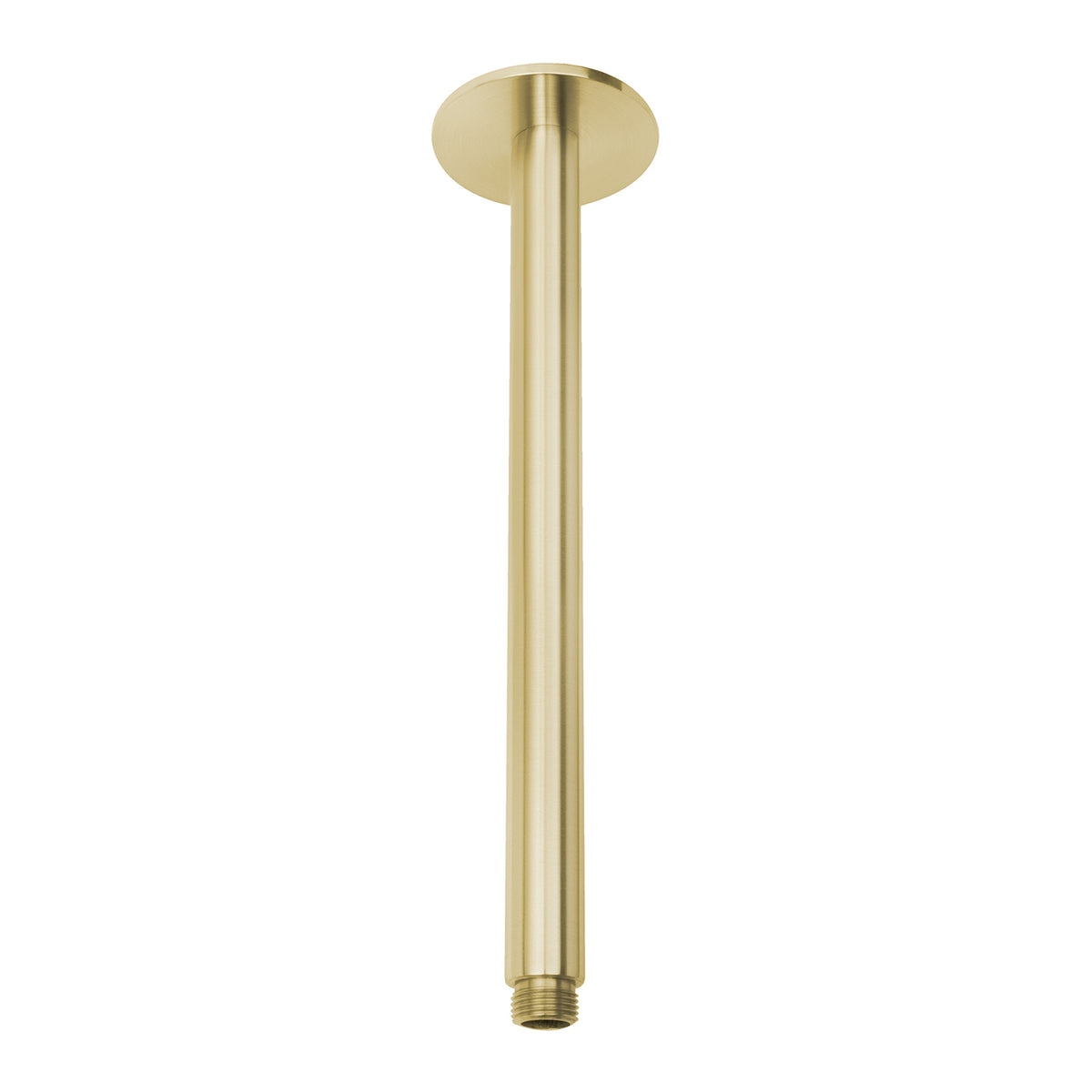 Phoenix Vivid Ceiling Arm 300mm
