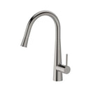 JESS Pull Out Sink Mixer (WT 4122)