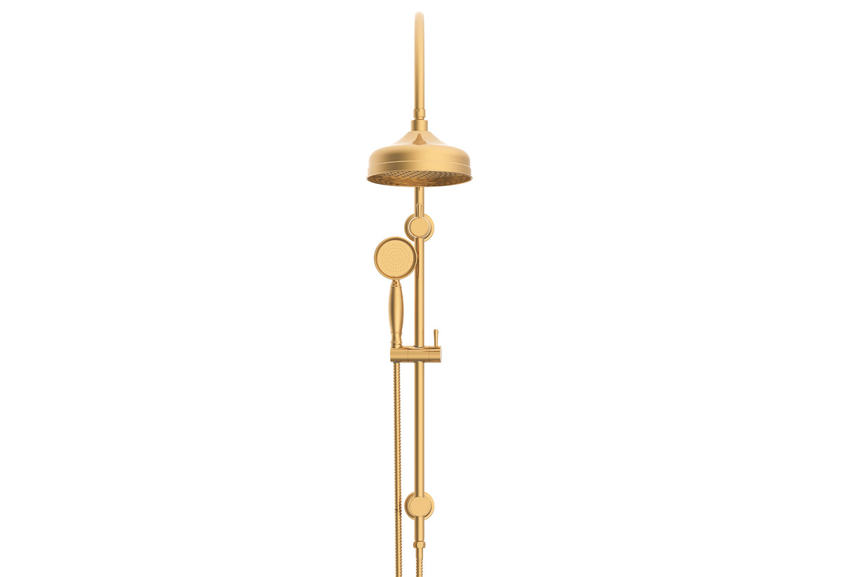 ADP Eternal Gooseneck Twin Shower Set