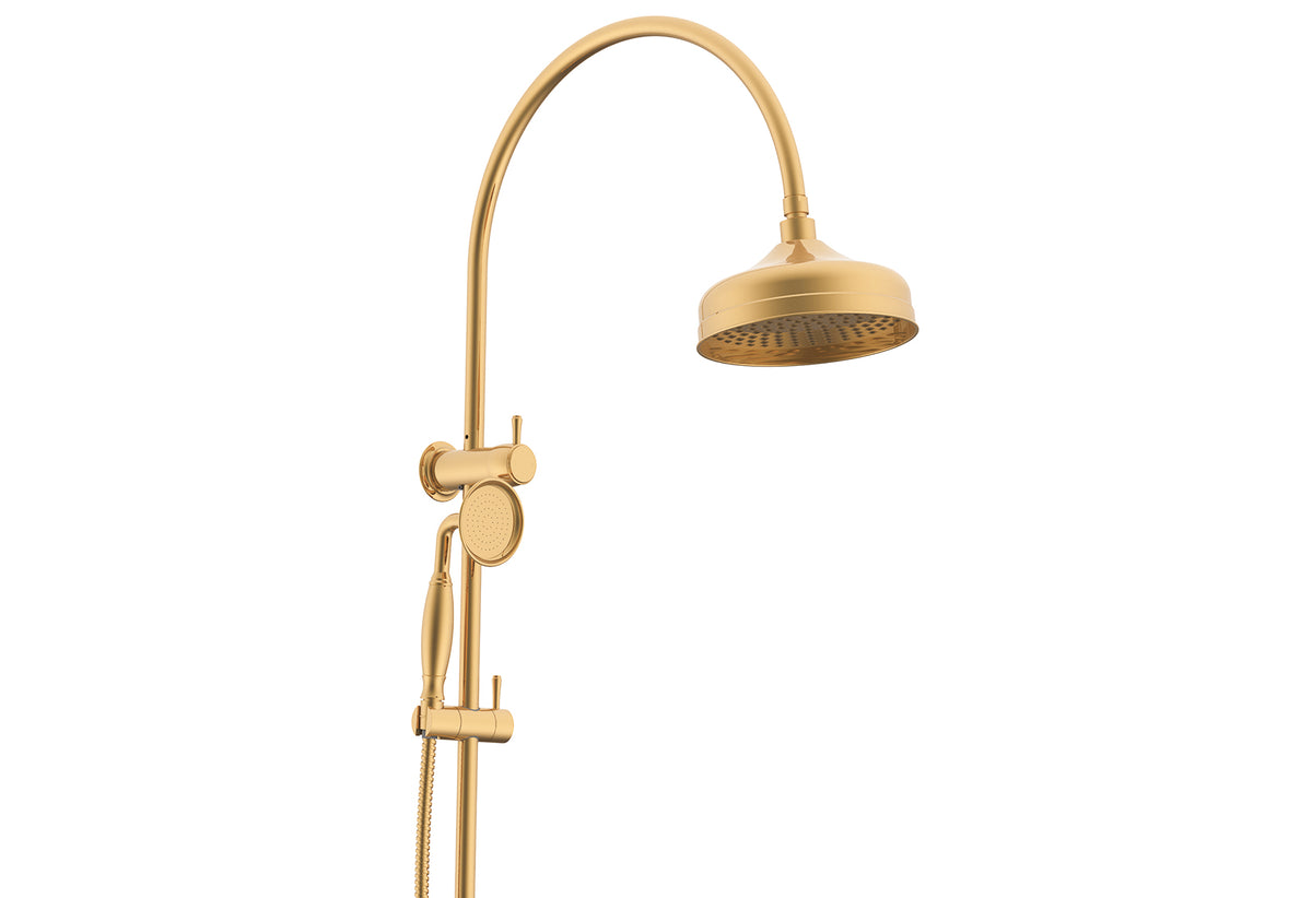 ADP Eternal Gooseneck Twin Shower Set