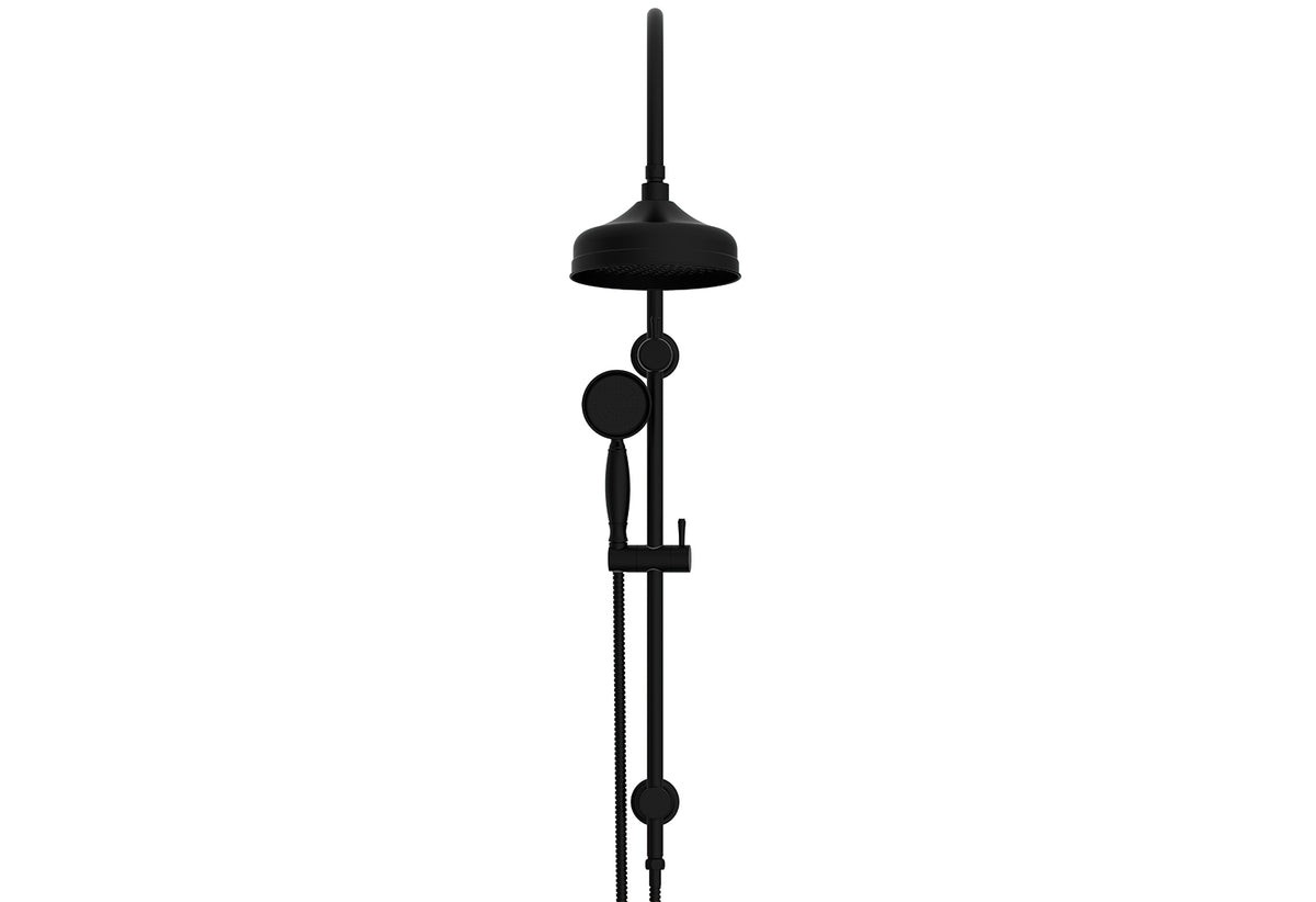 ADP Eternal Gooseneck Twin Shower Set