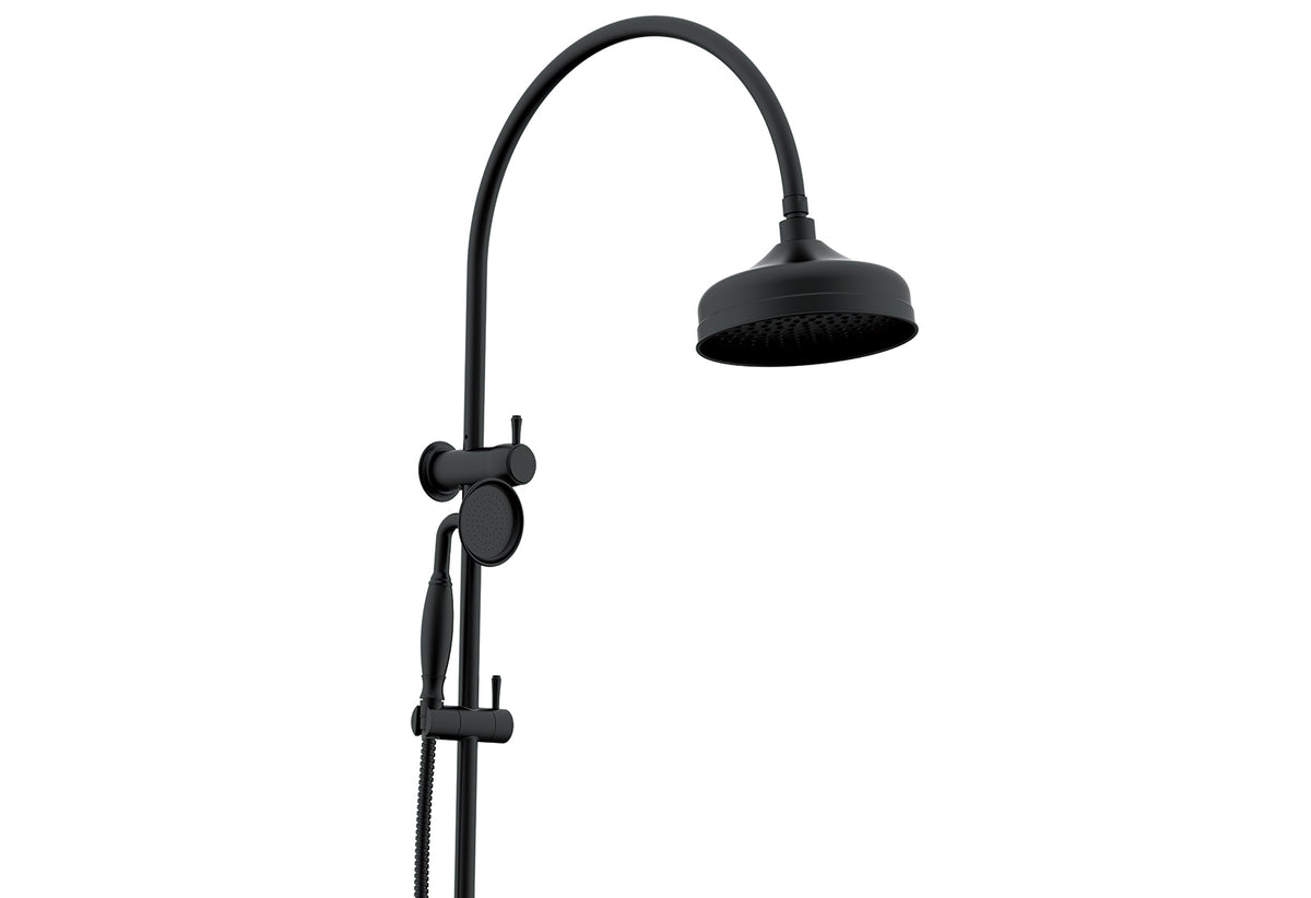 ADP Eternal Gooseneck Twin Shower Set