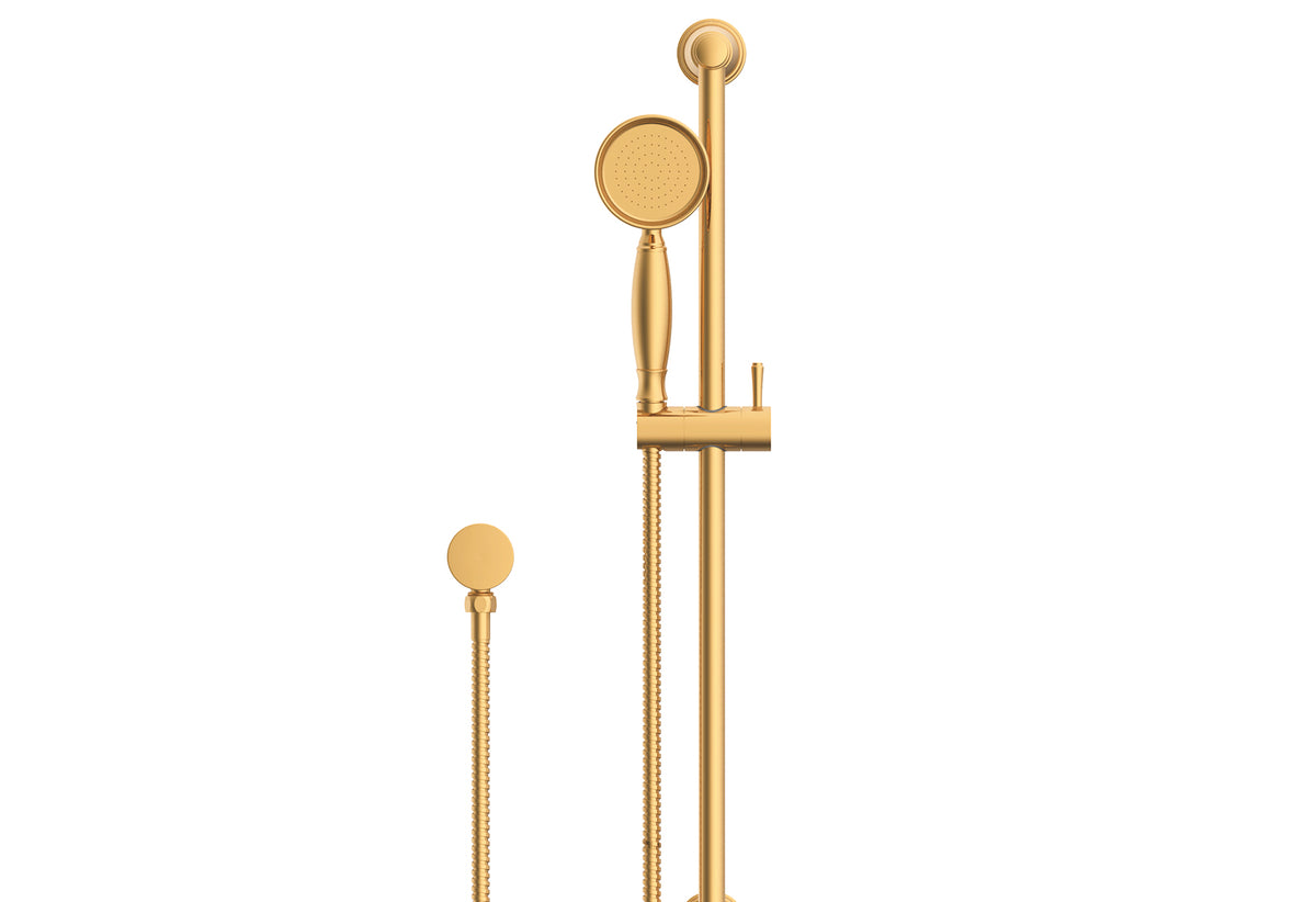 ADP Eternal Hand Shower On Rail