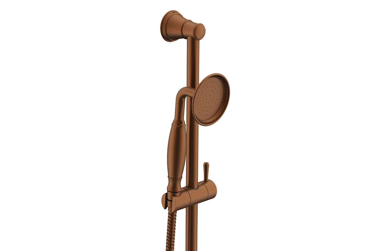 ADP Eternal Hand Shower On Rail