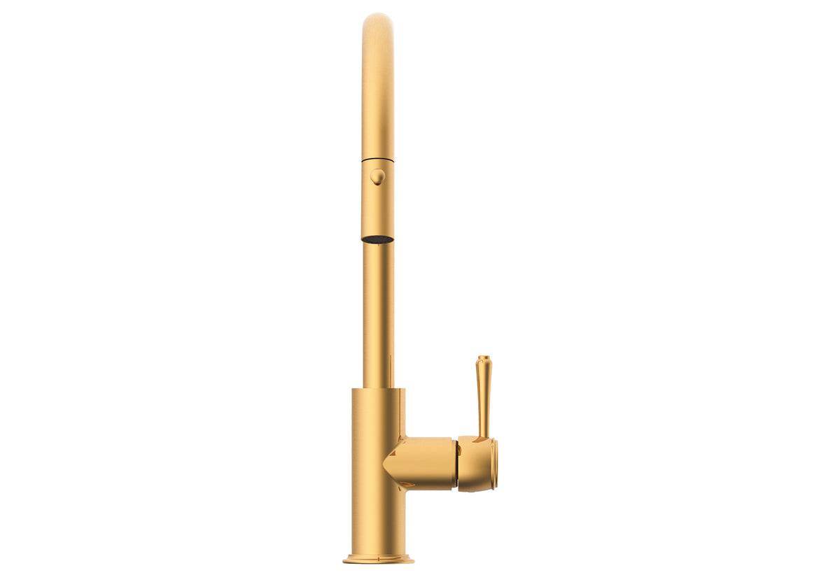 ADP Eternal Pull Out Kitchen Mixer