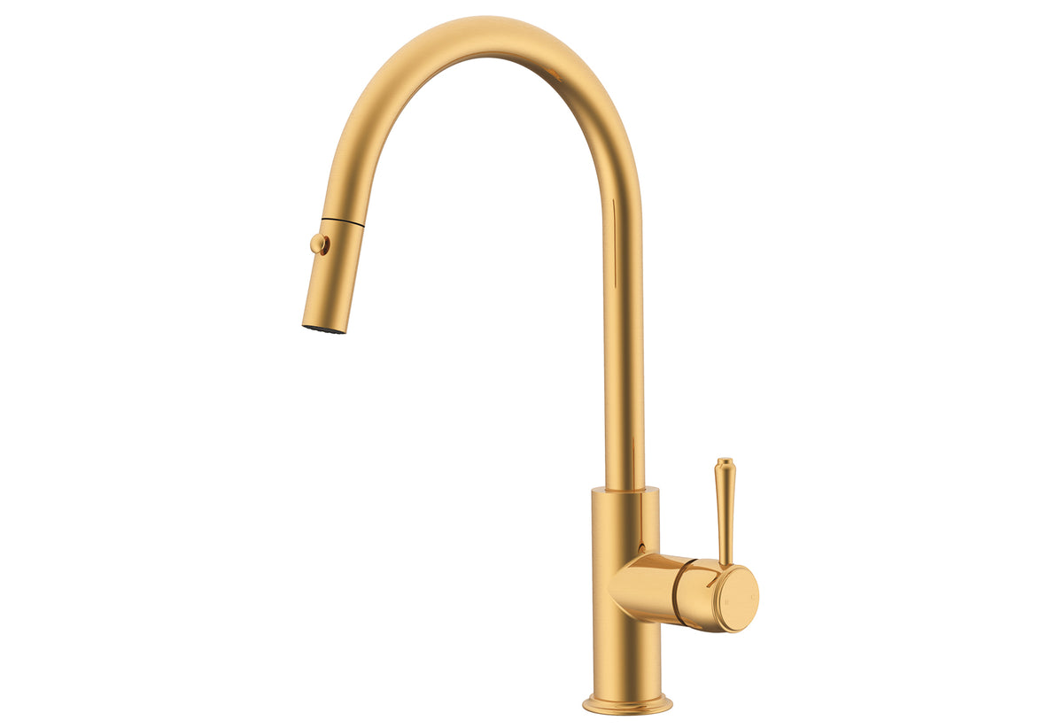 ADP Eternal Pull Out Kitchen Mixer