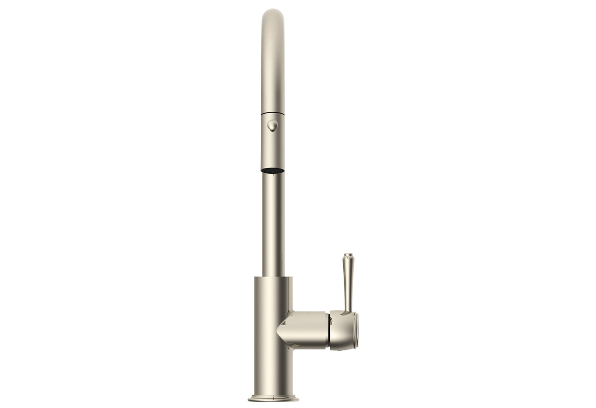 ADP Eternal Pull Out Kitchen Mixer