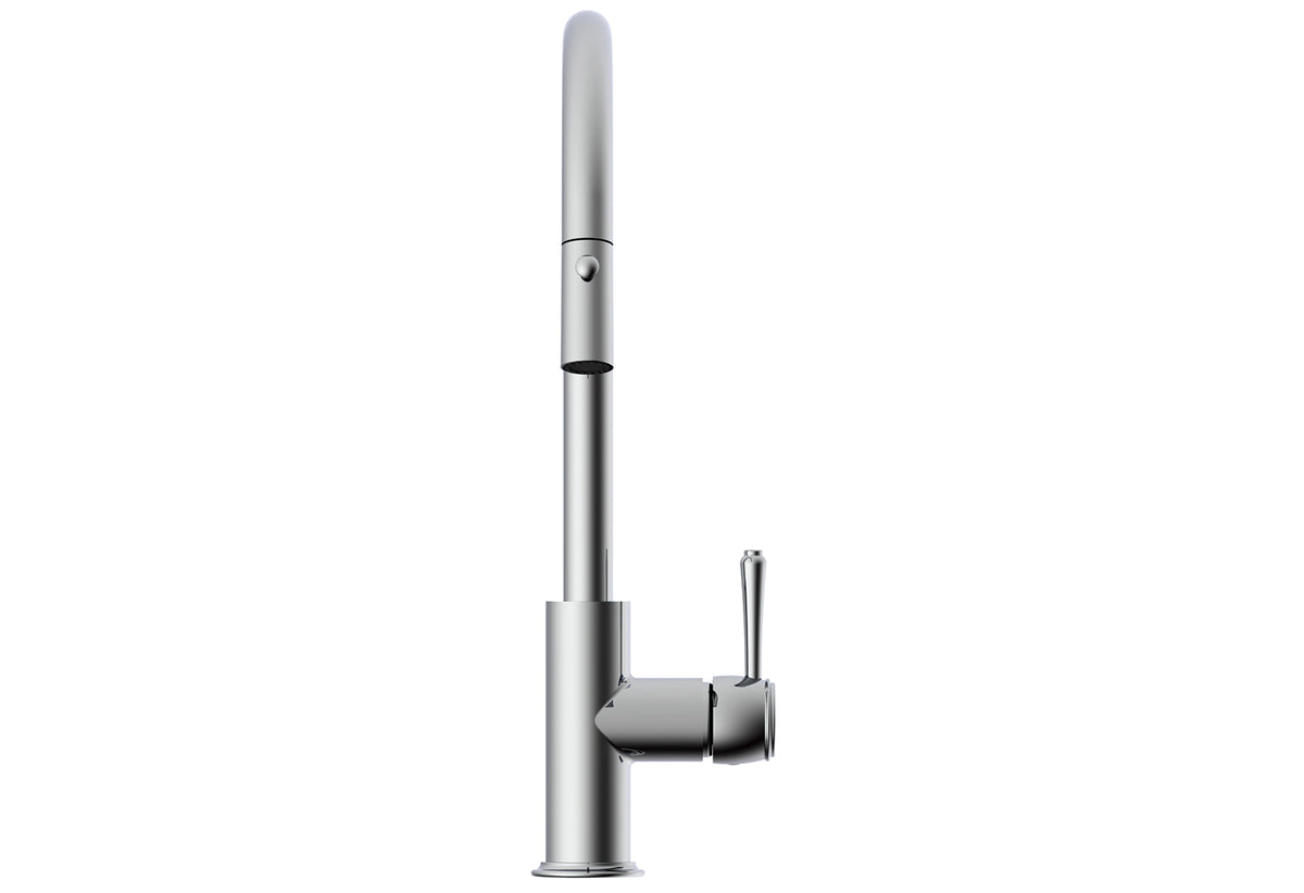 ADP Eternal Pull Out Kitchen Mixer