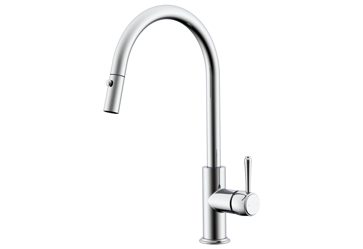 ADP Eternal Pull Out Kitchen Mixer
