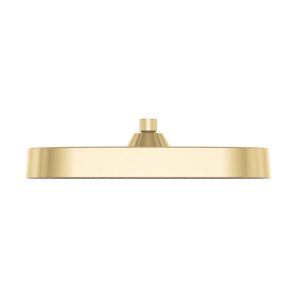 Fienza Kuro Shower Head, Soft Square, Urban Brass