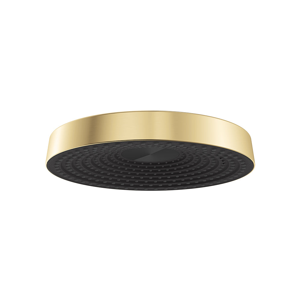 Fienza Kuro Shower Head, Round, Urban Brass